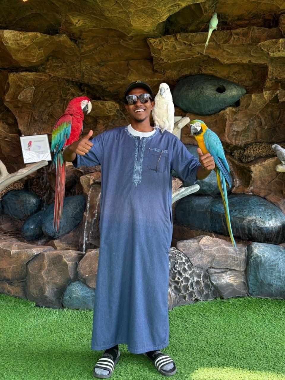 Bird firm
