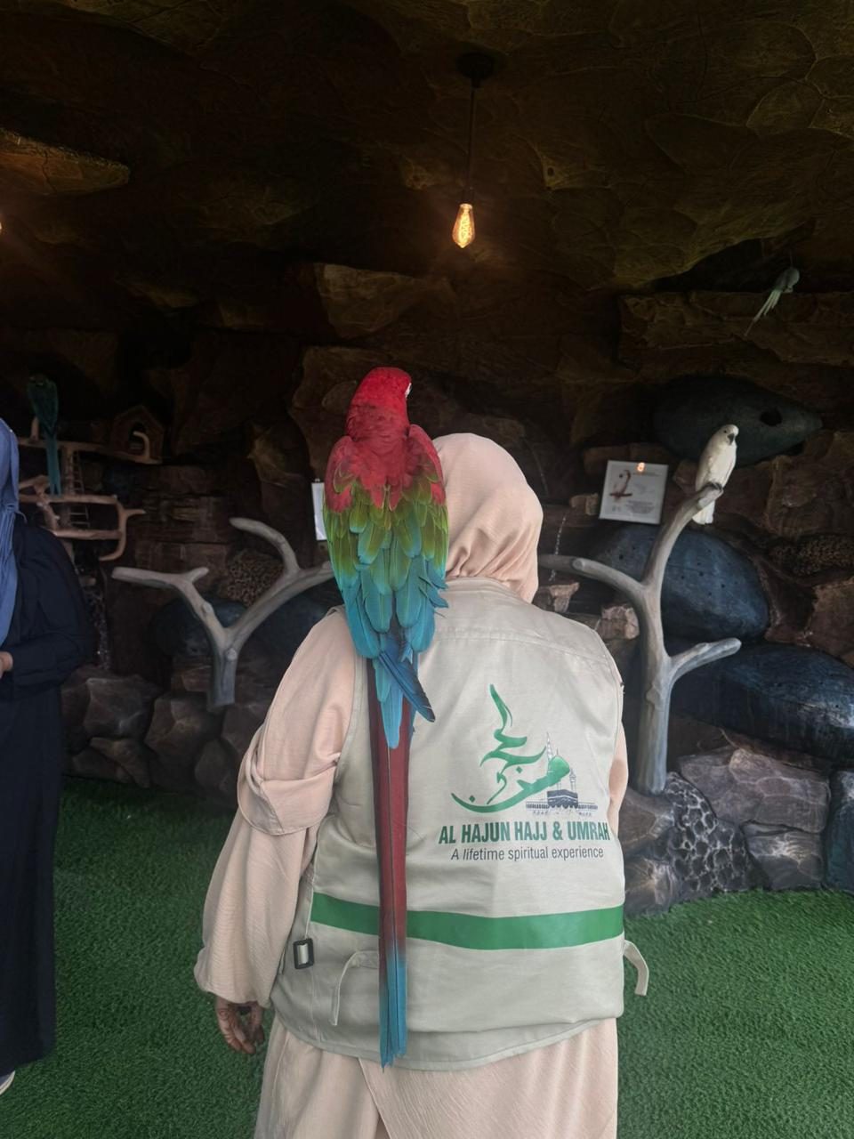 Bird firm in Taif