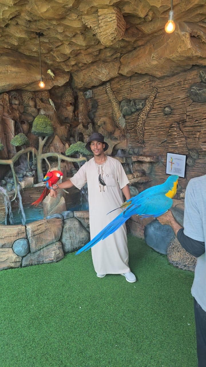 Bird firm at Taif