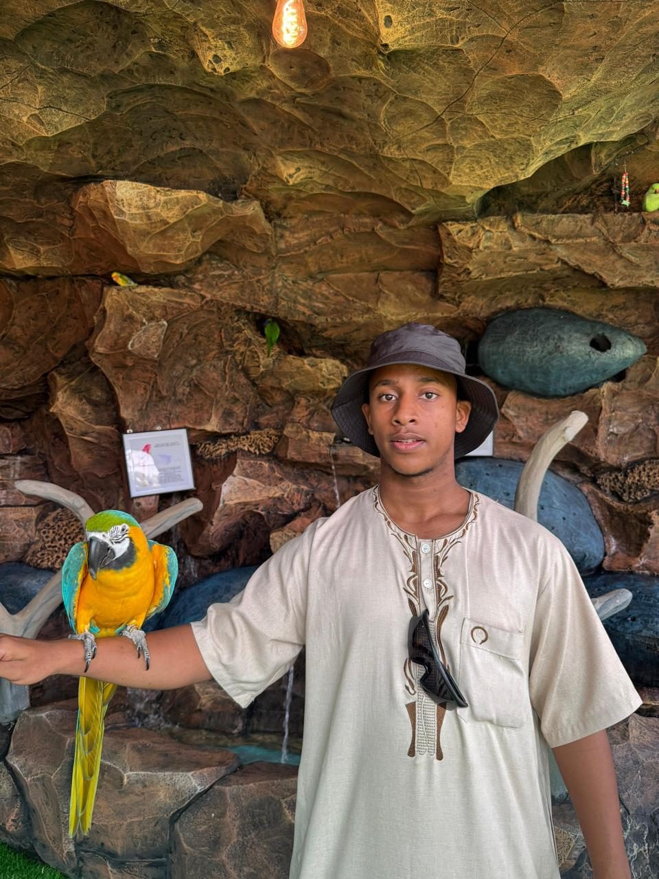 Bird firm at Taif