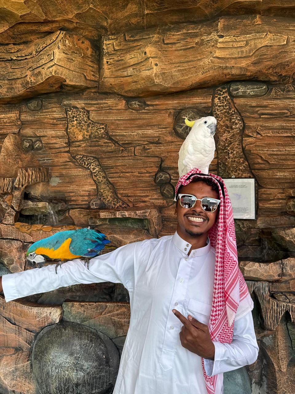 Bird firm at Taif