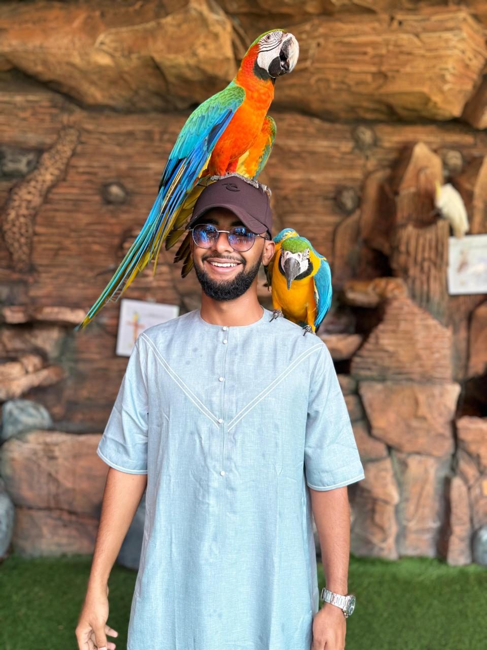 Bird firm at Taif