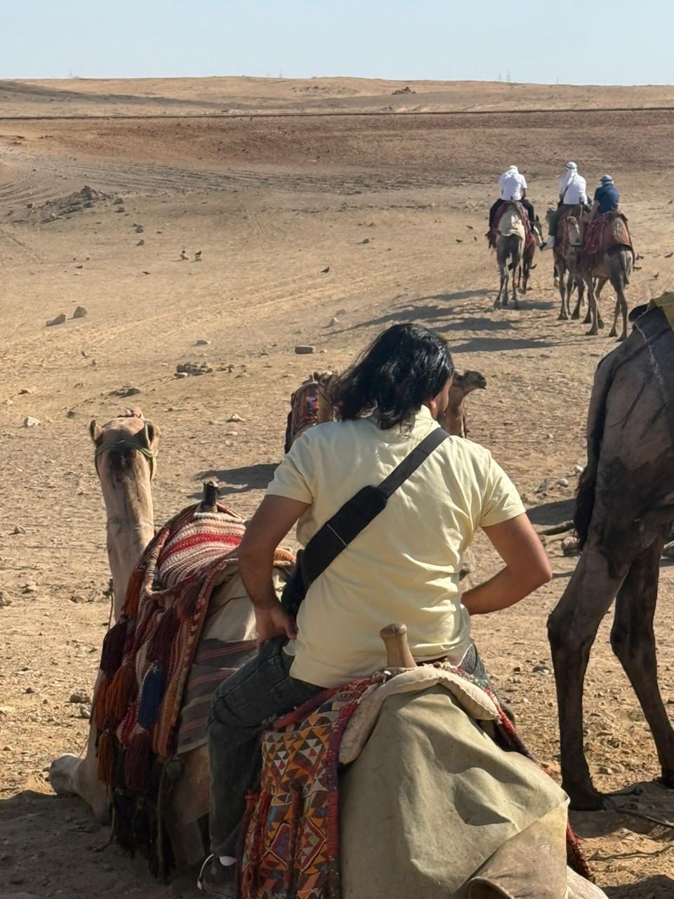 Camel riding at the Pyramids