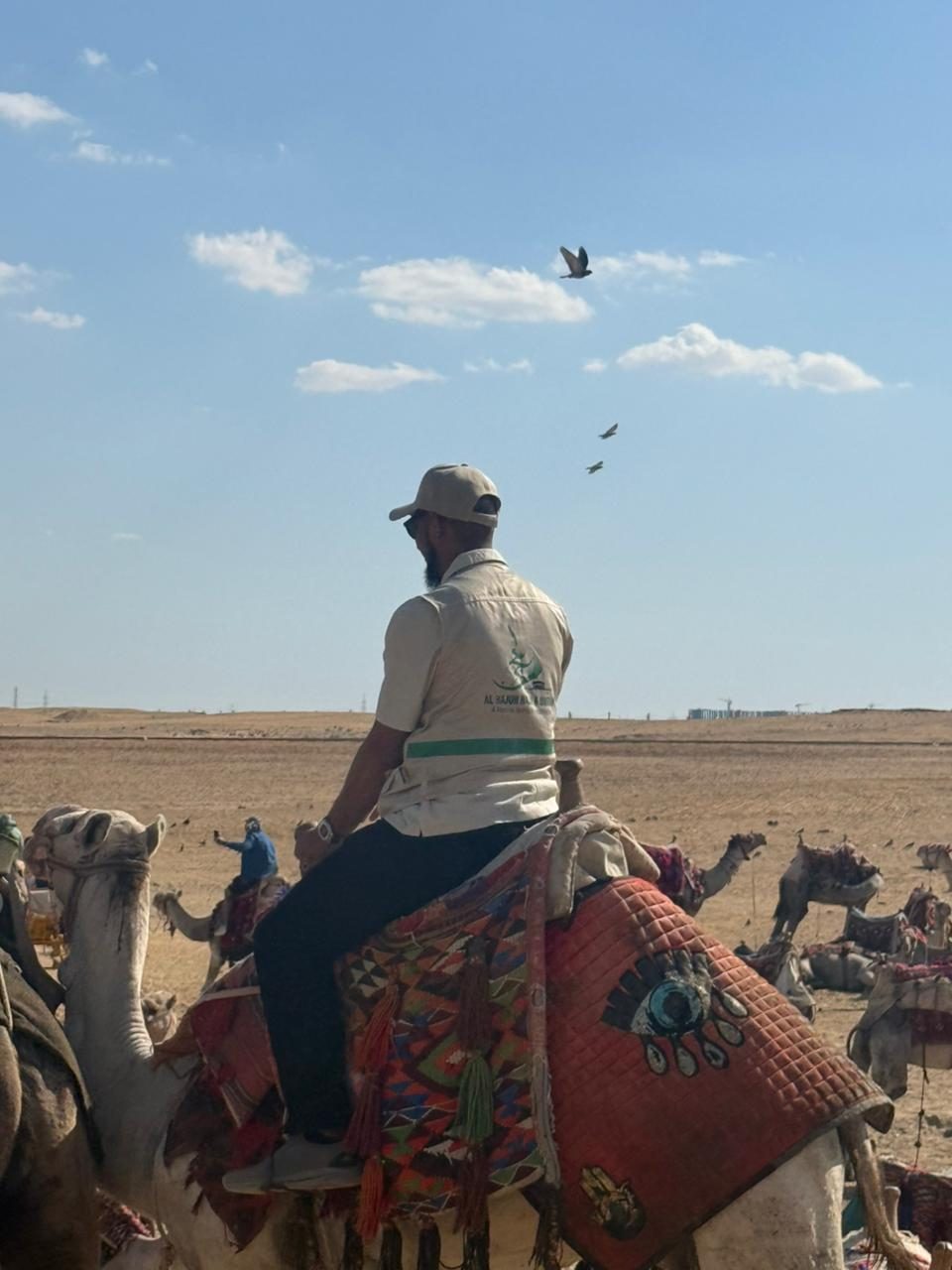 Camel riding